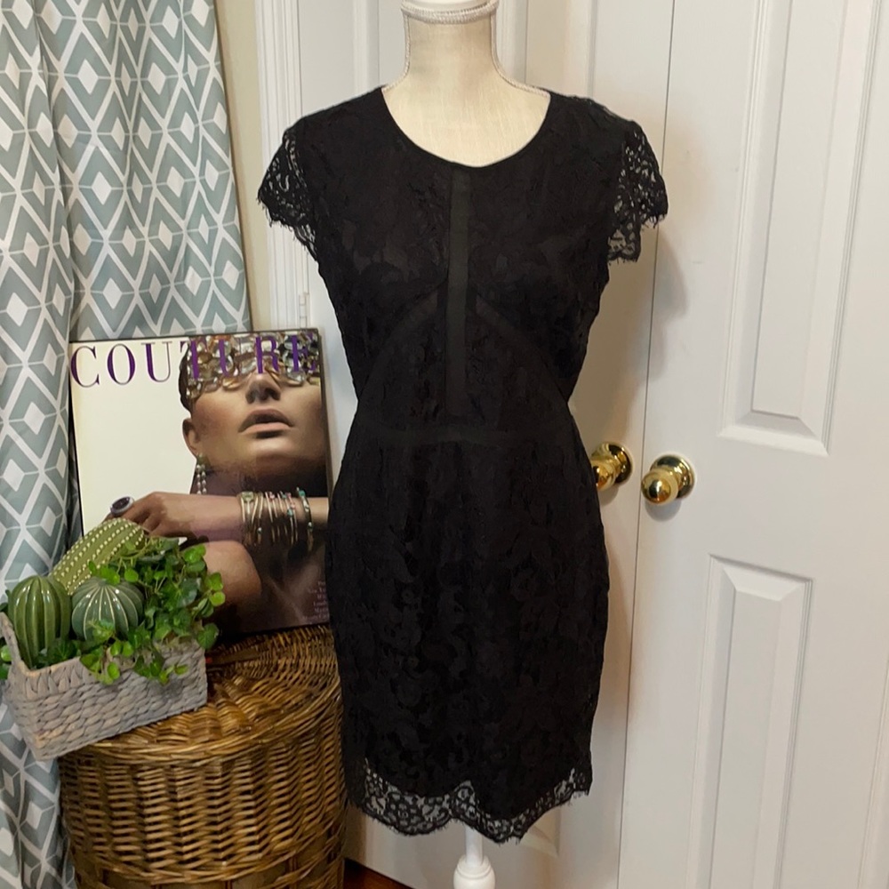 Beautiful Black Lace Dress with Sheer Panel /Large